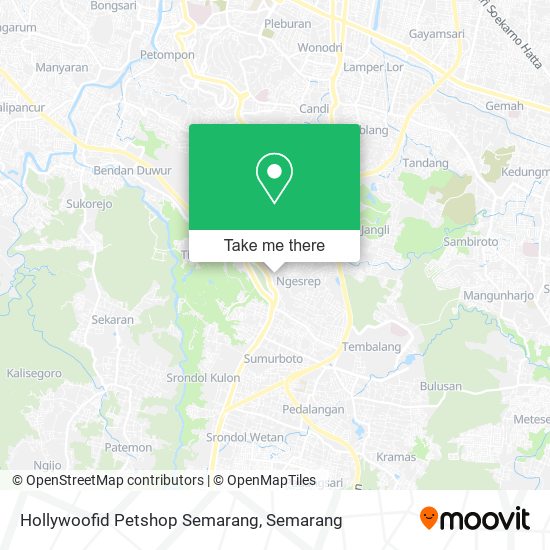 Hollywoofid Petshop Semarang map