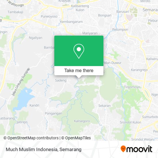 Much Muslim Indonesia map