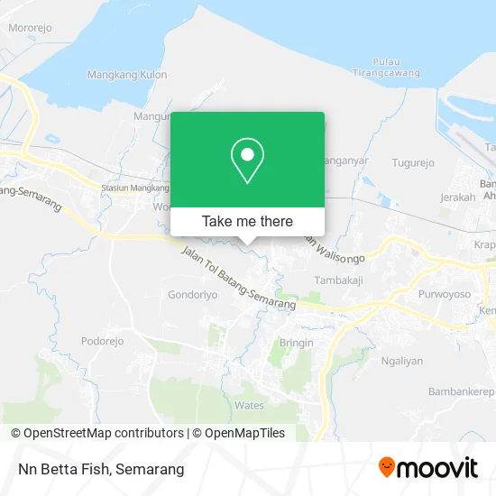 Nn Betta Fish map