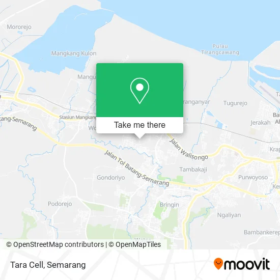 Tara Cell map