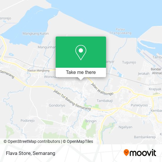 Flava Store map