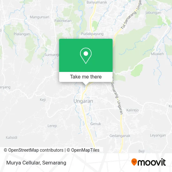 Murya Cellular map