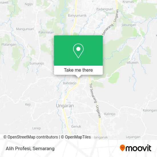 Alih Profesi map