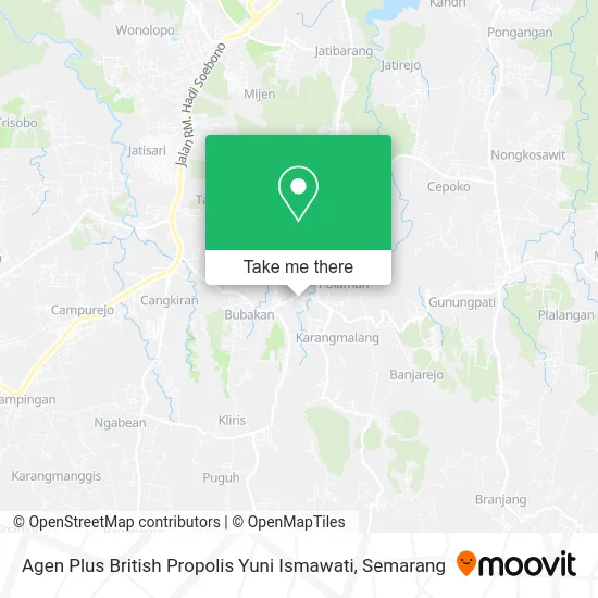 Agen Plus British Propolis Yuni Ismawati map