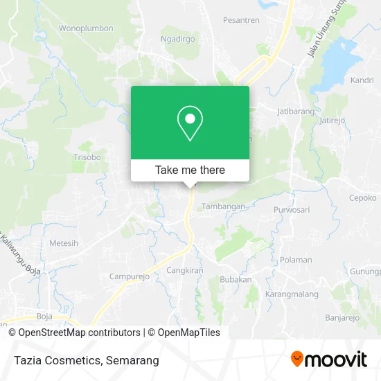 Tazia Cosmetics map