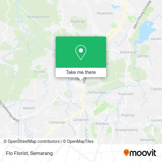 Flo Florist map