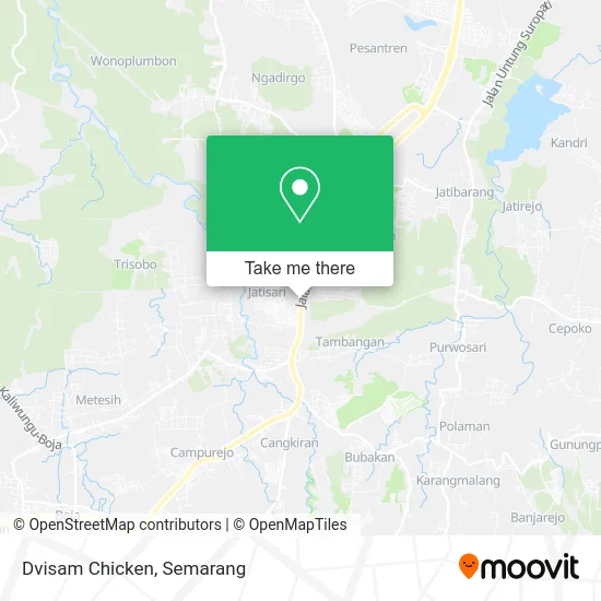 Dvisam Chicken map