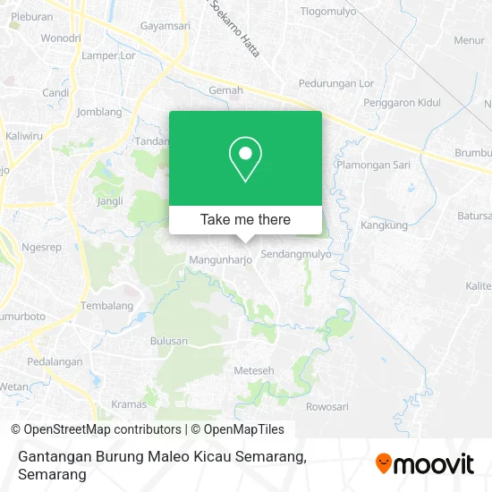 Gantangan Burung Maleo Kicau Semarang map