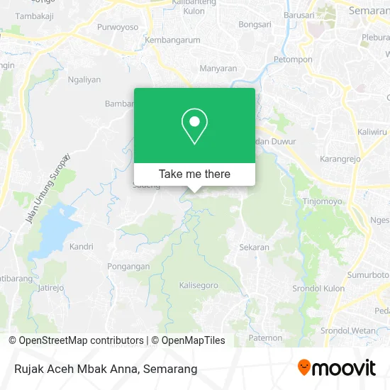 Rujak Aceh Mbak Anna map