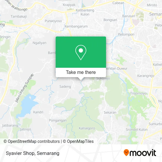 Syavier Shop map