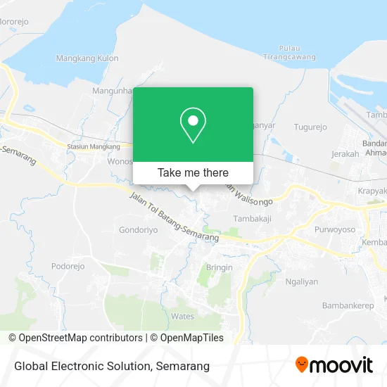 Global Electronic Solution map