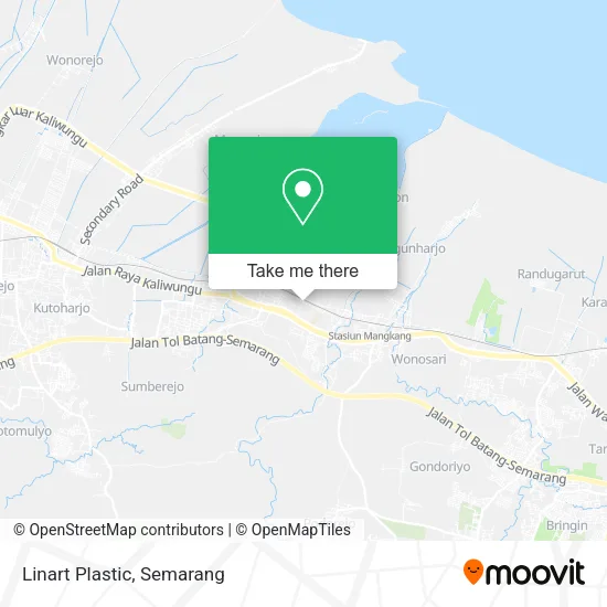 Linart Plastic map