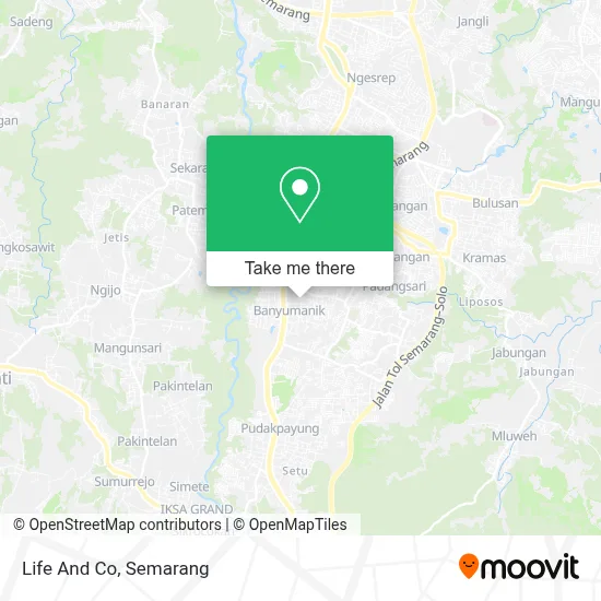 Life And Co map