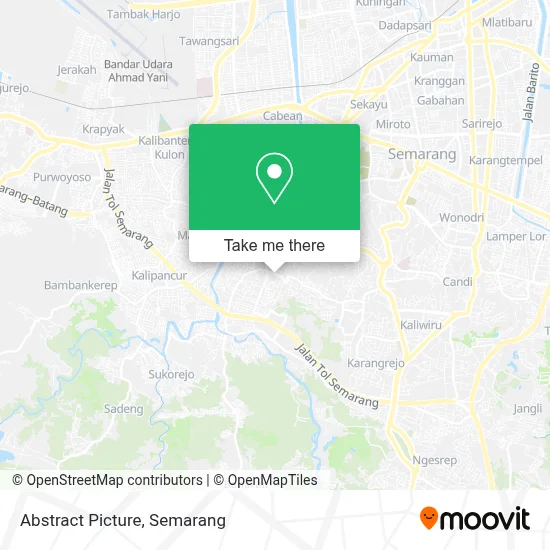 Abstract Picture map
