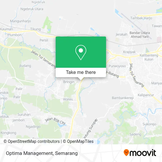 Optima Management map