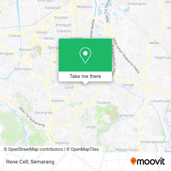 Rene Cell map