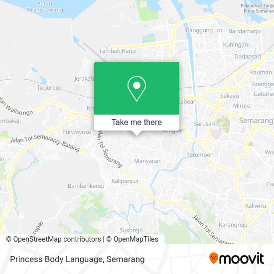 Princess Body Language map