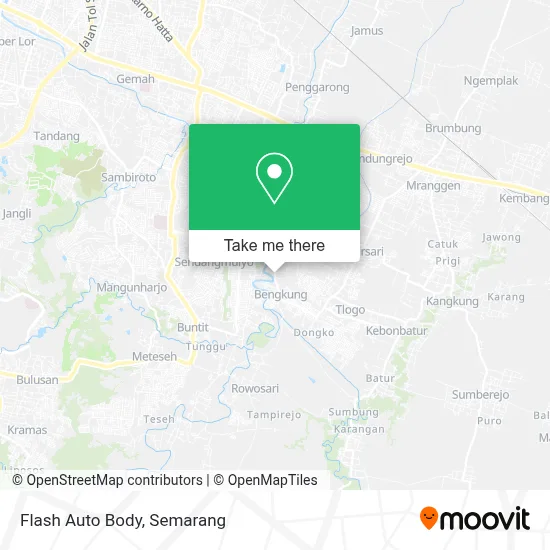 Flash Auto Body map
