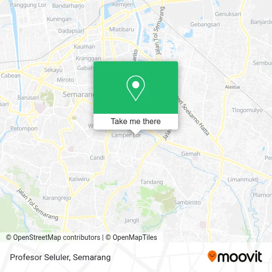 Profesor Seluler map