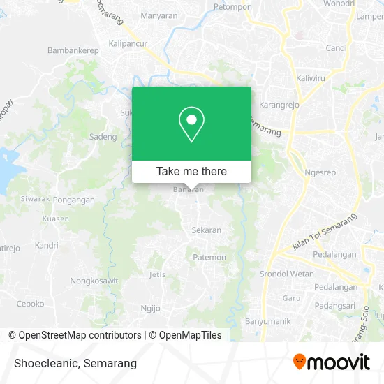 Shoecleanic map