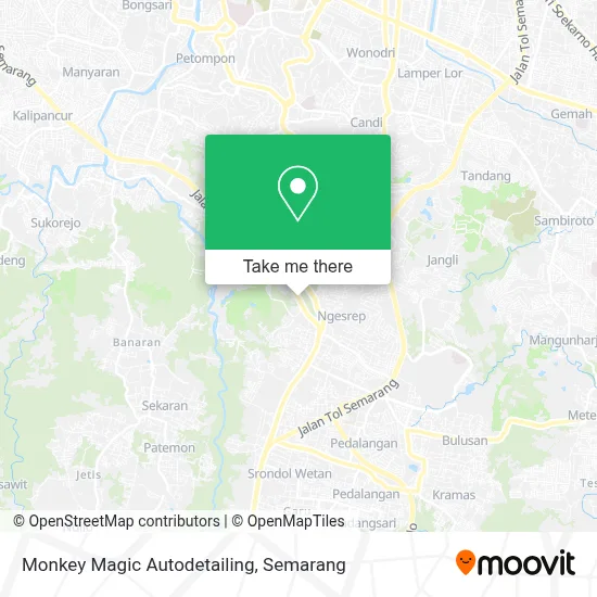 Monkey Magic Autodetailing map