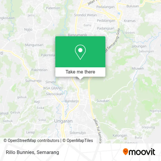 Rillo Bunnies map