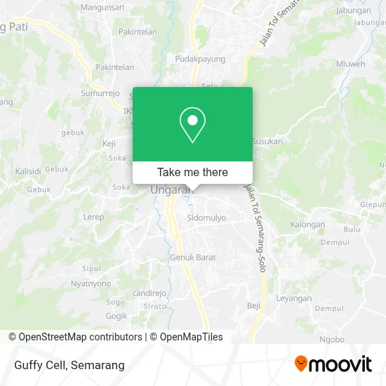 Guffy Cell map