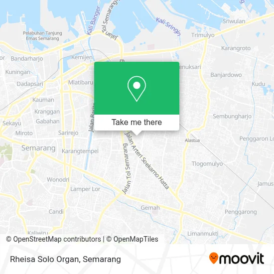 Rheisa Solo Organ map