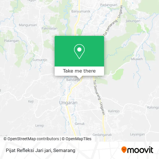 Pijat Refleksi Jari jari map