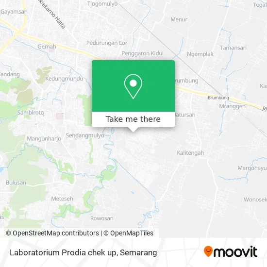 Laboratorium Prodia chek up map
