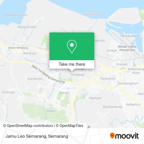 Jamu Leo Semarang map
