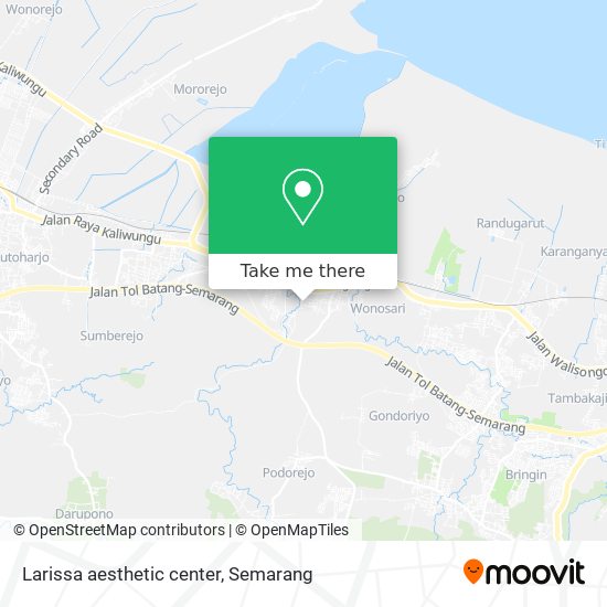 Larissa aesthetic center map