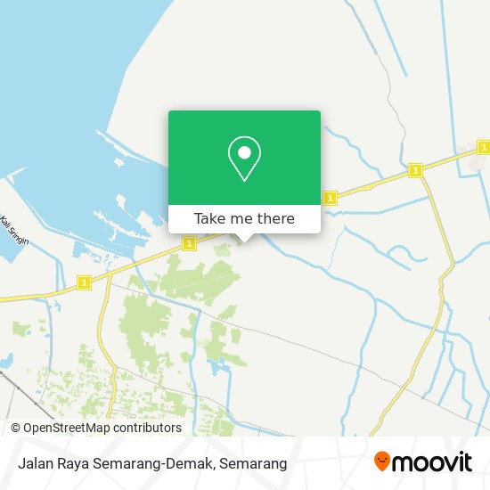 Jalan Raya Semarang-Demak map