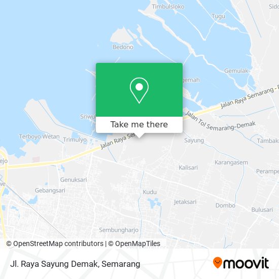 Jl. Raya Sayung Demak map