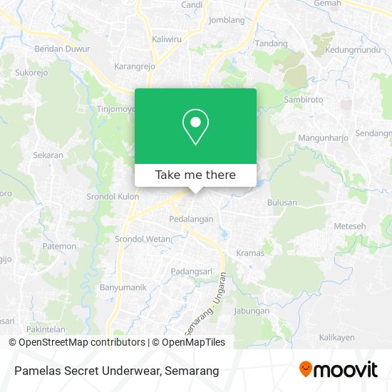 Pamelas Secret Underwear map