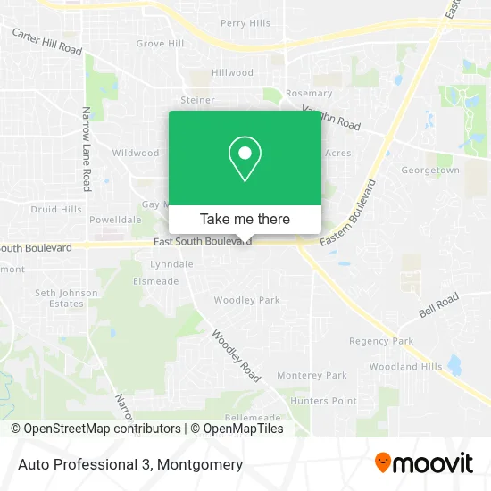 Auto Professional 3 map