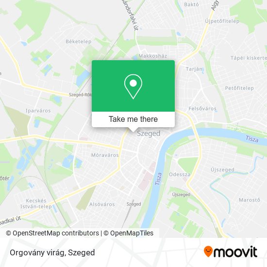Orgovány virág map