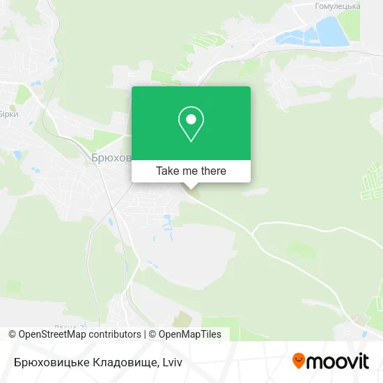 Карта Брюховицьке Кладовище