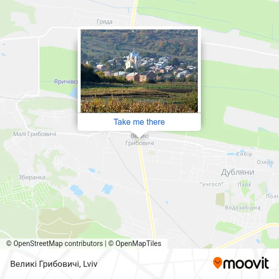 Карта Великі Грибовичі