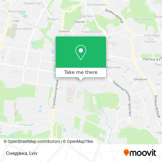 Снядівка map