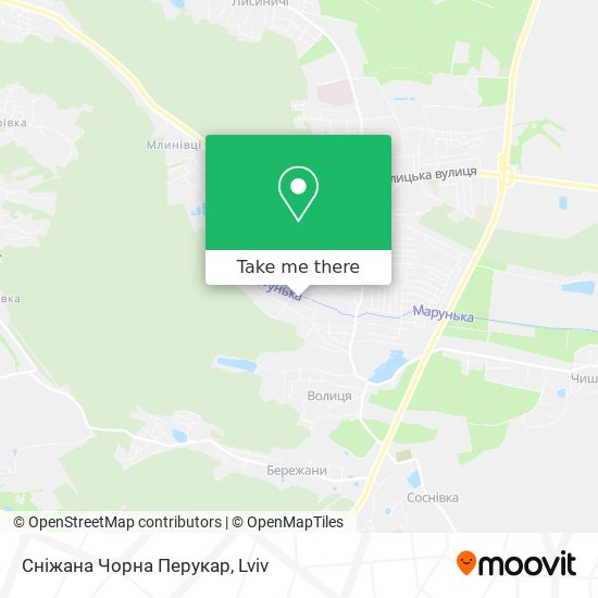 Карта Сніжана Чорна Перукар