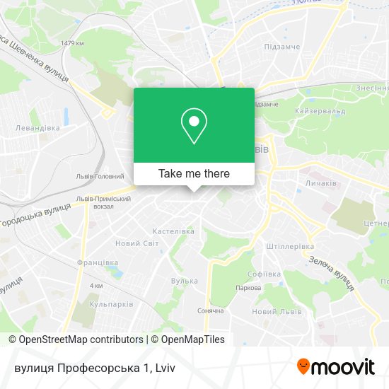 вулиця Професорська 1 map