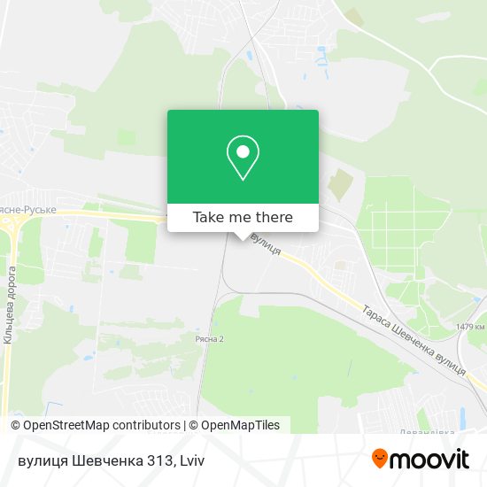 вулиця Шевченка 313 map