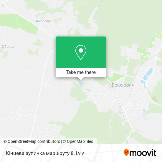 Карта Кінцева зупинка маршруту 8