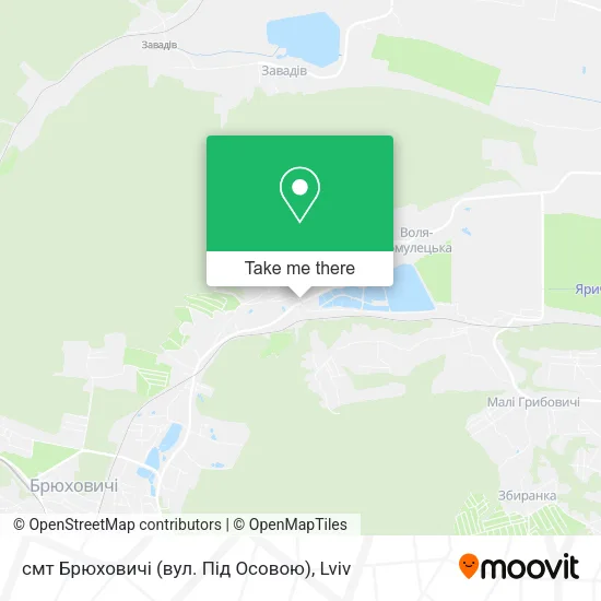 Карта смт Брюховичі (вул. Під Осовою)