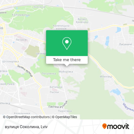 вулиця Соколина map