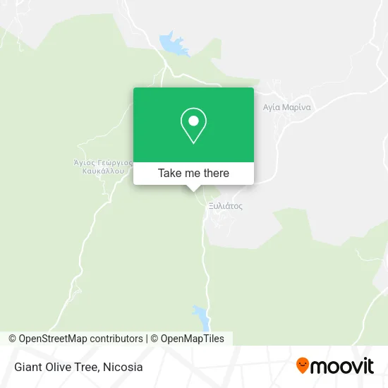 Giant Olive Tree map