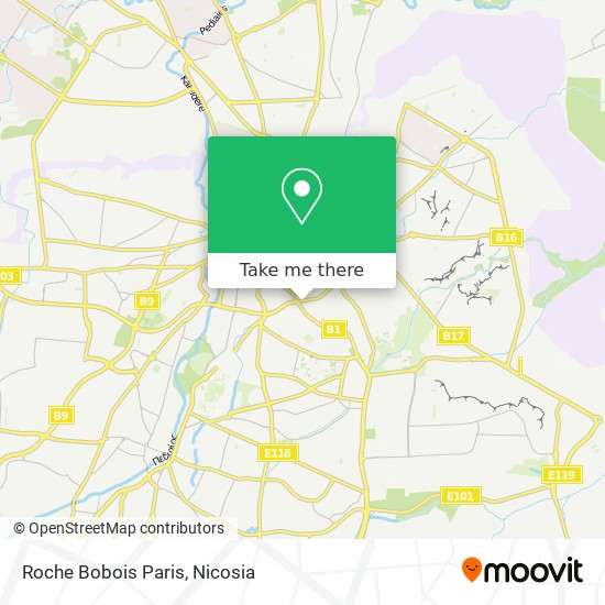 Roche Bobois Paris map