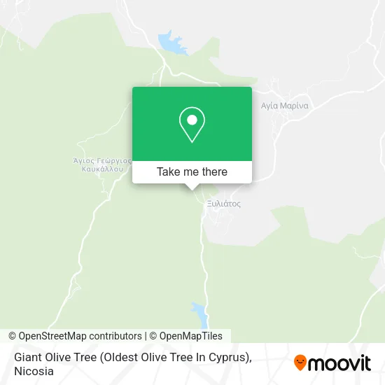 Giant Olive Tree (Oldest Olive Tree In Cyprus) map