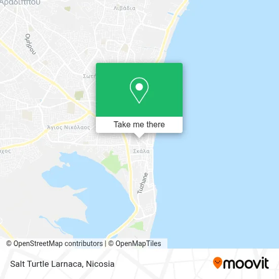 Salt Turtle Larnaca map